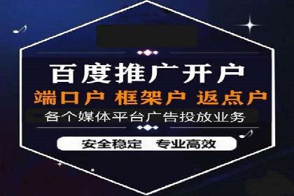 百度竞价广告投放案例剖析